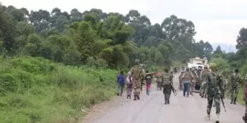 Nord- Kivu , la force onusienne se ressaisit-elle?:La MONUSCO ET LES FARDC LANCENT L’OPÉRATION « SPRINGBOK » POUR DÉFENDRE GOMA CONTRE LA MENACE DU M23