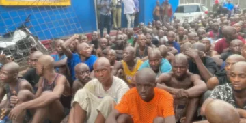 PENDANT QUE 1200 KULUNA TRANSFORMÉS EN BÂTISSEURS ONT QUITTÉ LE SITE FORMATEUR:350  » kuluna cueillis  » les remplacentau Service National à Kanyama Kasese