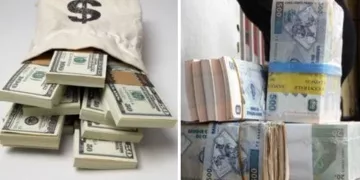 DÉDOLLARISATION DE L’ÉCONOMIE CONGOLAISE : Malangu Kabedi déterminée à corriger les imperfections de précédentes tentatives